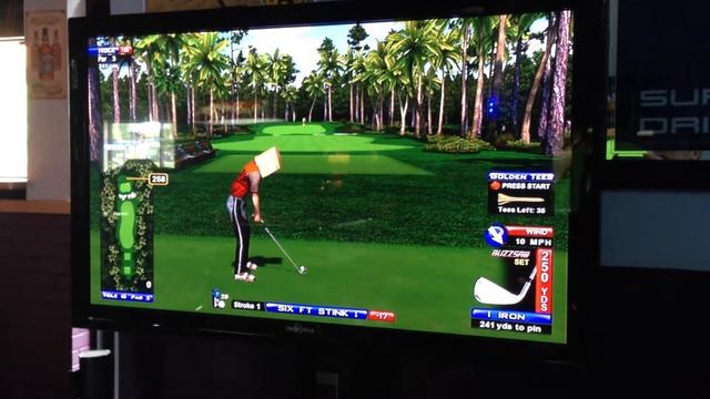Pelican Grove Hole #16 demo -- Golden Tee 2014 смотреть онлайн