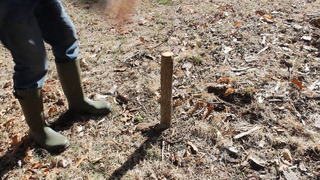 Can you catch earth worms with a chainsaw? Chainsaw worm grunting смотреть онлайн