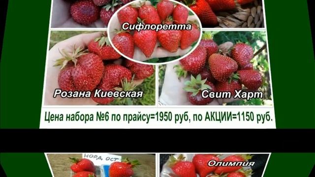Новогодняя Акция земляники 23 24 Ягодное раздолье смотреть онлайн