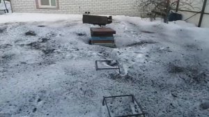 Точёк через два дня как  обработал золой снег