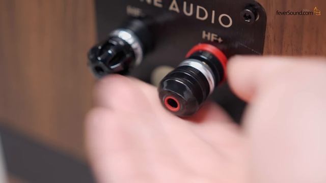 Fyne Audio Vintage Twelve｜復古霹靂大喇叭｜國仁實試｜CC字幕