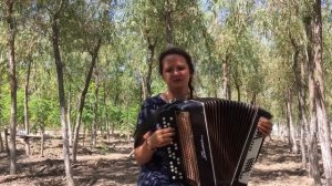 "Ты моя нежность". РАЗБОР.  №18. Проект "На баяне с Натали"