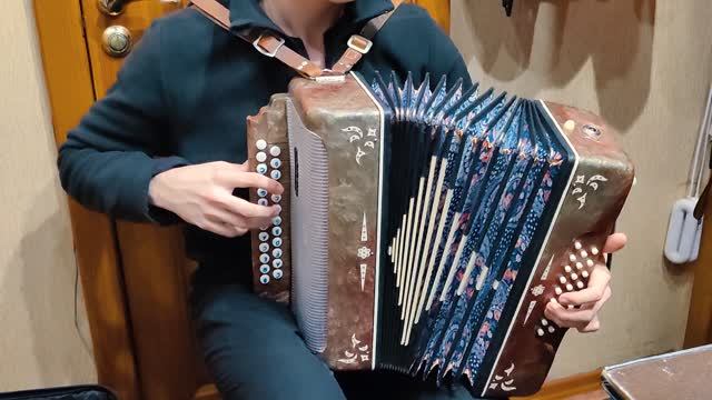 Россия вперед! Славянка на гармони Беларусь не по нотам а от души ко дню ПОБЕДЫ ! смотреть всем ! смотреть онлайн