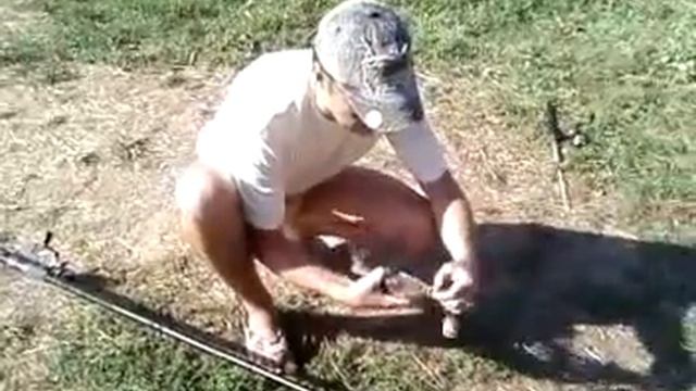 Ужение карася в с. Музыковке смотреть онлайн