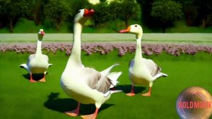 Гуси-гуси га-га-га. Детские песни. Детская дискотека. Детский плейлист. Голд Моен. Детский стихи.