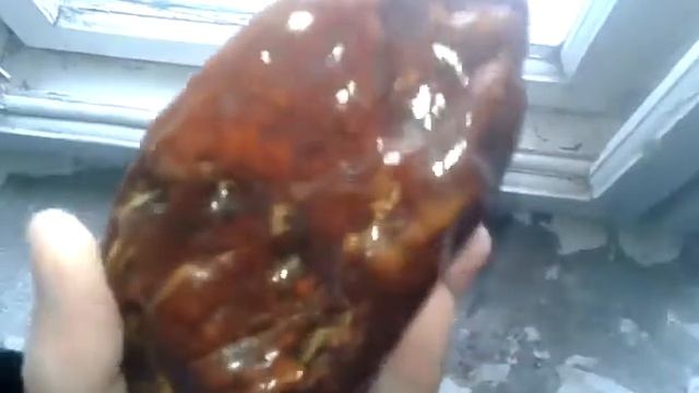 ЯНТАРЬ/ AMBER/ كهرمان/ 琥珀