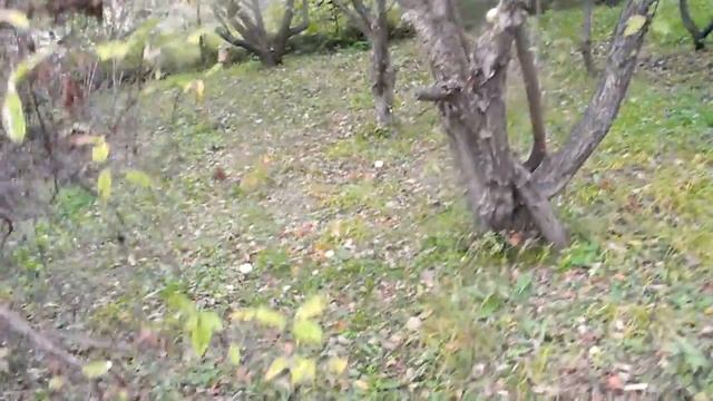 Не мною болшьна смотреть онлайн