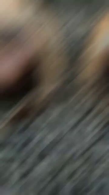 Tail Amputation | Surgery of Dog Suffering from Gangrenous Tail #shorts #short #ytshorts #shortfeed смотреть онлайн