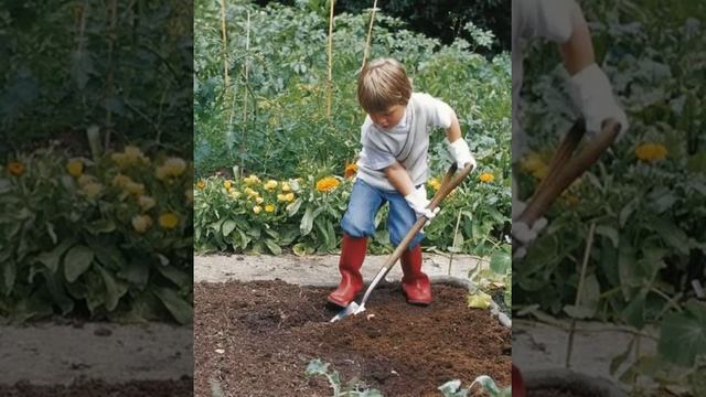 Детски песни - Еколошка песна / Detski pesni - Ekoloshka pesna