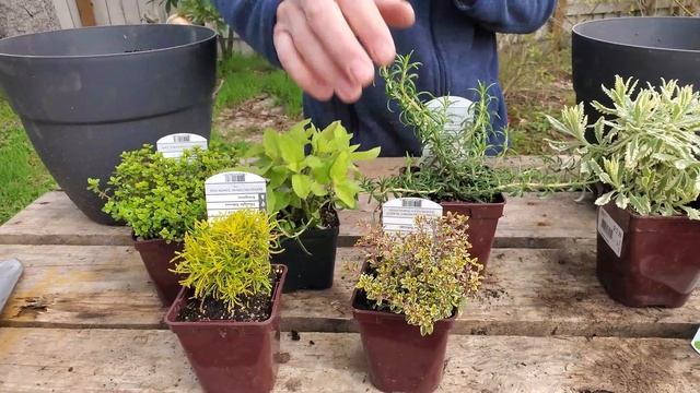 Creating New Herb Containers 🌿😃 смотреть онлайн