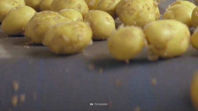 This Is the Most Expensive Potato смотреть онлайн