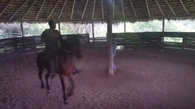 Salah-Ad-Din de La Trinidad смотреть онлайн