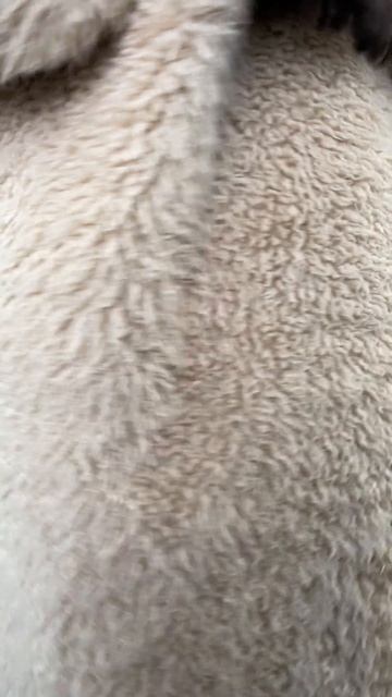 Пальто женское из натуральной шерсти с английским воротником на пуговицах смотреть онлайн