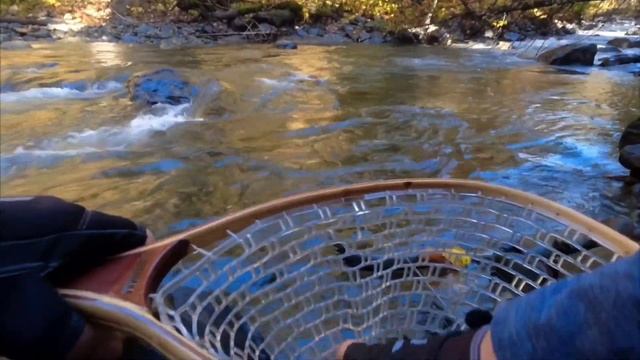 Форель в горных реках Абхазии, первое знакомство. смотреть онлайн