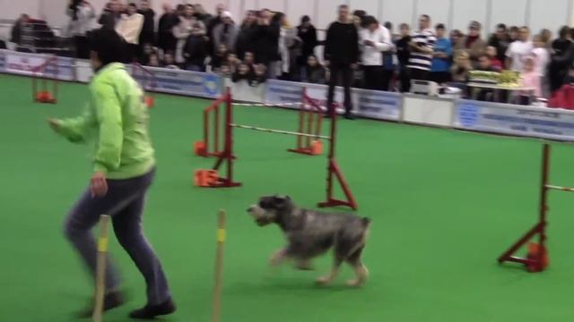 Лариса   Шила джампинг