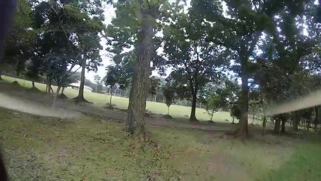 Cruising VRX walksnail on skyzone cobra X V2 смотреть онлайн