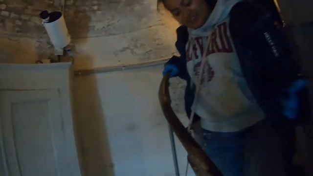 North ocean and Baltic sea meet смотреть онлайн