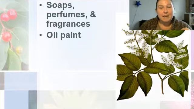 What's My EO? Copaiba смотреть онлайн