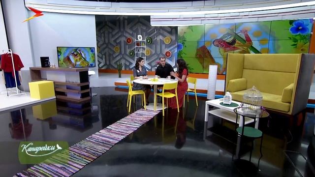 Готовить или заказывать? Канарейки смотреть онлайн