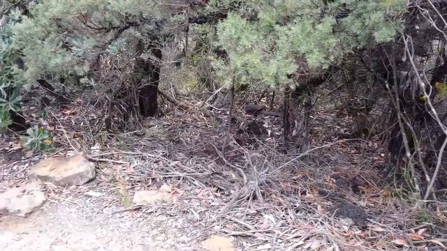 20150213 132416 смотреть онлайн