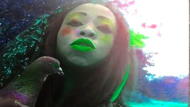 Geisha Davis - Birds-eye view (short film)
