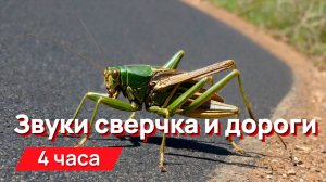 Звуки для соседей - звуки сверчка и дороги