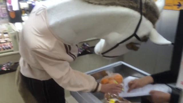 Лошадь в магазине смотреть онлайн