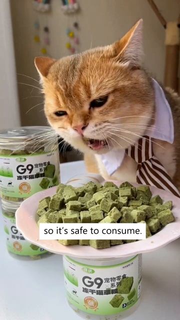Organic And Protein Rich! 😻💕 смотреть онлайн