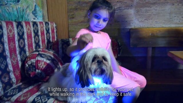 Colorful LED AIDI-C6 Best Dog Collar | BSEEN LED Dog Collar смотреть онлайн