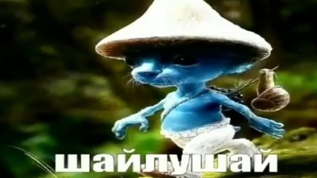 шалун шай