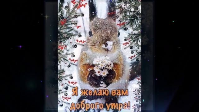 Доброе утро Инна Субботина На Ветру mp4 смотреть онлайн