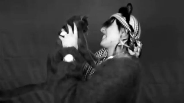 Все танцуют с котами смотреть онлайн