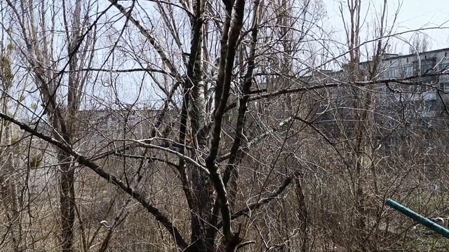 Пришла ВЕСНА...и БЕЛОЧКА!!!!! смотреть онлайн