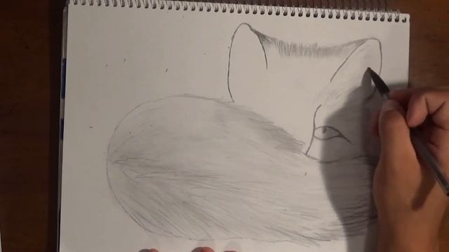 How to Draw a Baby Fox Video-Time Lapse- Awesome Pencil Drawing-ZArtwork смотреть онлайн