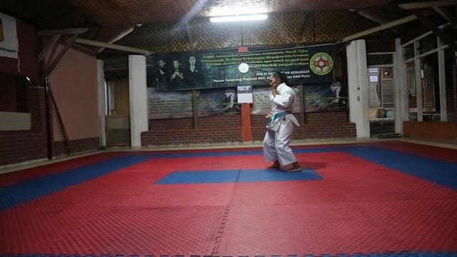 KOSN 2020 KARATE PUTRI_RAHMAWATI HERIANI PUTRI_Pi_SMAN 1 BANJARAN_ KATA SUPARINPEI#1(PENYISIHAN) смотреть онлайн