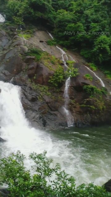 Dudhsagar falls | Goa | Vlog | WhatsApp status | Vacation time | Nature | Falls смотреть онлайн