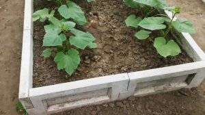 Тёплые урожайные грядки, садовый конструктор из полимерного бетона. #сад #огород #высокиегрядки