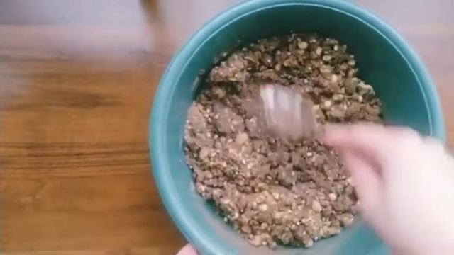 Քաղցր երշիկ #сладкая #колбаса