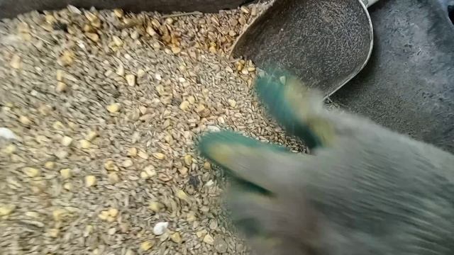 Гранулятор Компакт 125