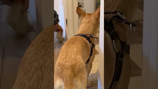 Safety inspector checking work смотреть онлайн