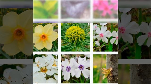 Вторая половинка мая смотреть онлайн