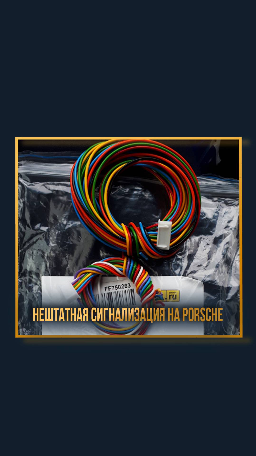 Нештатная сигнализация на Porsche смотреть онлайн