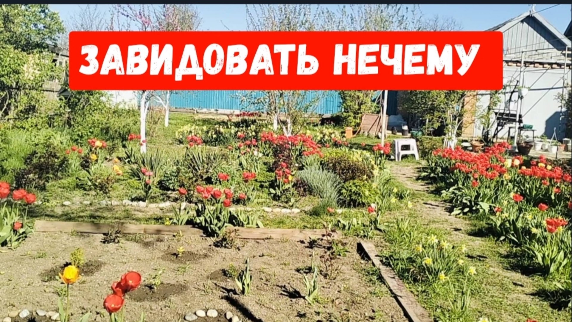 #5🌷18 апреля.Завидовать нечему/Ничего не успеваю/Как я выращиваю рассаду огурцов/Рыба на ужин смотреть онлайн