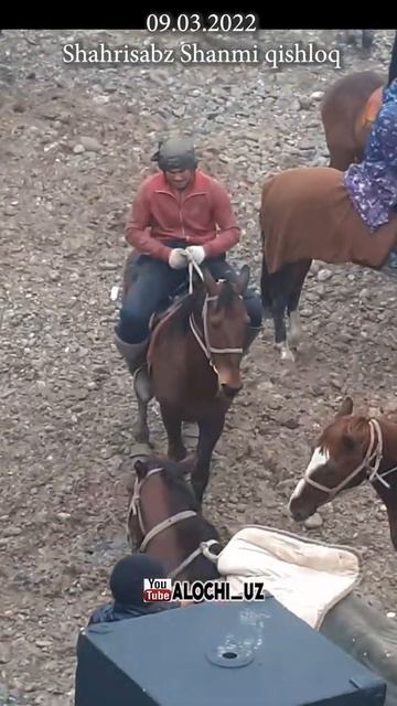 5 zod Shahrisabz Johon polvon Yakkabog' Qaldirg'och oti bn ko'pkari #shorts смотреть онлайн