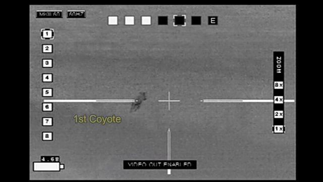 1 Coyote, Maybe 2, Grendel CRD Berger AR Hybrid OTM 130 gr. смотреть онлайн