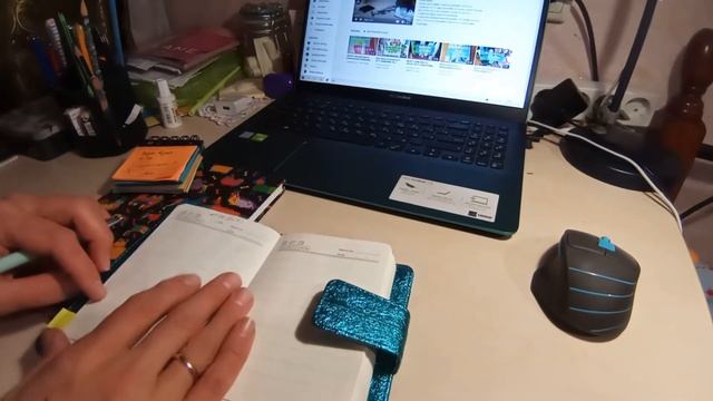 ВЛОГ|19 января| Экспресс-уборка на кухне| Как я веду ежедневник| Моя Ёлочка