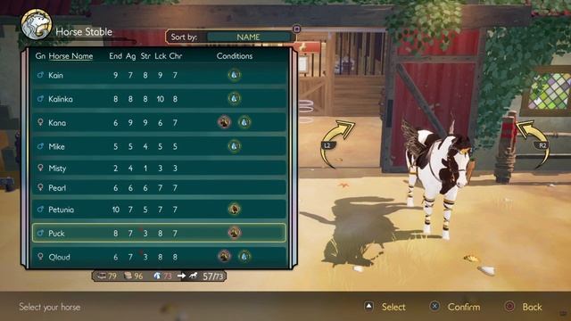 Horse Tales - Emerald Valley Ranch - Platinum Horses смотреть онлайн