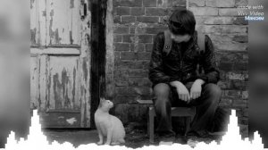 Каролина - Мальчик мой брошенный