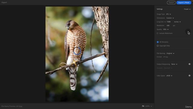 12-01 - Как экспортировать фотографии из Lightroom CC смотреть онлайн