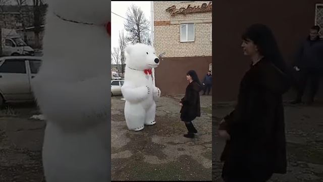 Карачаево Черкесия УРУПСКИЙ район Поздравления Белого Медведя Умки.. 89889144591 смотреть онлайн